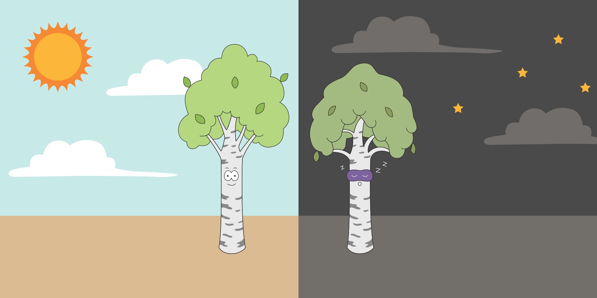 Illustration of trees at night and during the day