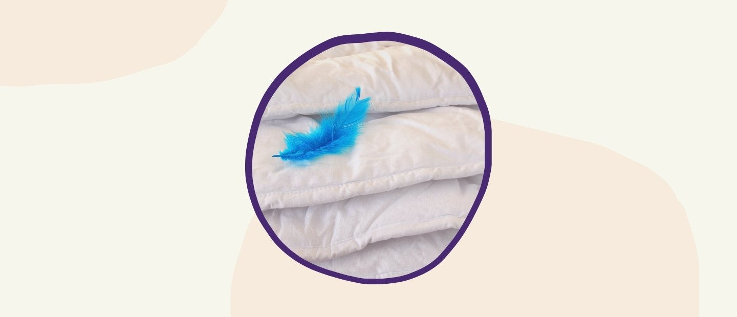 A feather on a row of bedding accessories