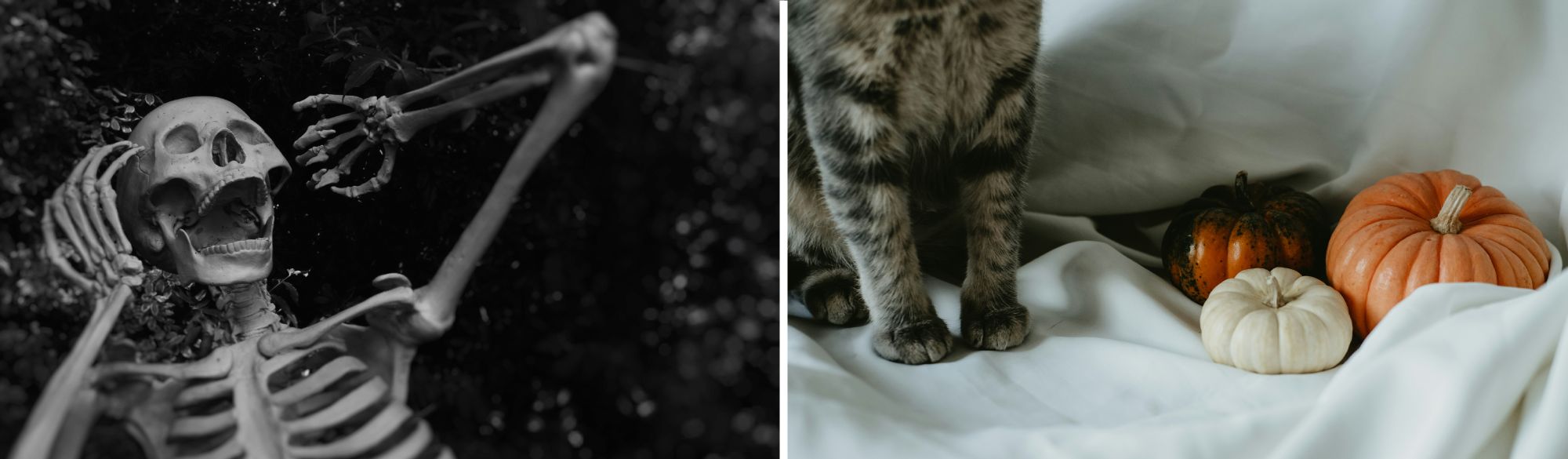 👻 Haunted by Sleepless Nights? Rest Easy This Spooky Season